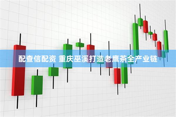 配查信配资 重庆巫溪打造老鹰茶全产业链