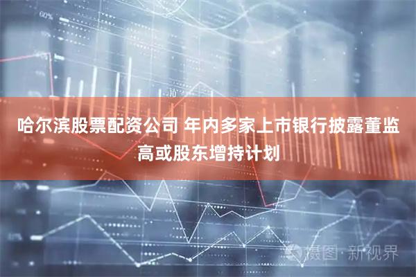 哈尔滨股票配资公司 年内多家上市银行披露董监高或股东增持计划