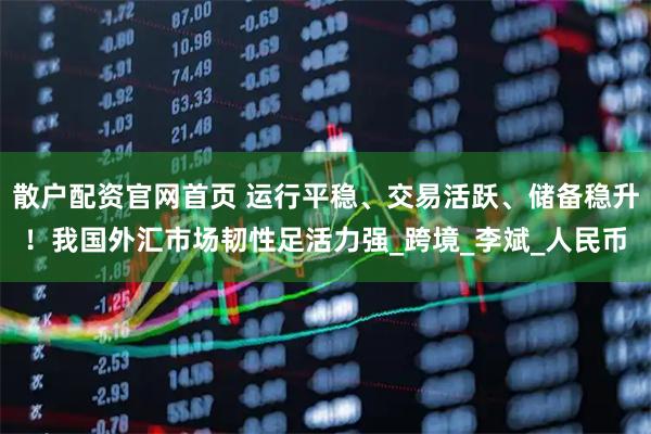 散户配资官网首页 运行平稳、交易活跃、储备稳升！我国外汇市场韧性足活力强_跨境_李斌_人民币