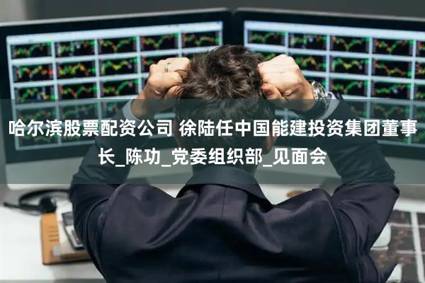 哈尔滨股票配资公司 徐陆任中国能建投资集团董事长_陈功_党委组织部_见面会