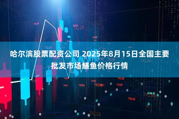 哈尔滨股票配资公司 2025年8月15日全国主要批发市场鳝鱼价格行情