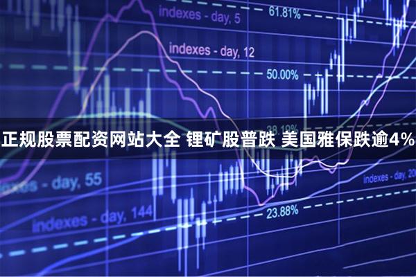 正规股票配资网站大全 锂矿股普跌 美国雅保跌逾4%